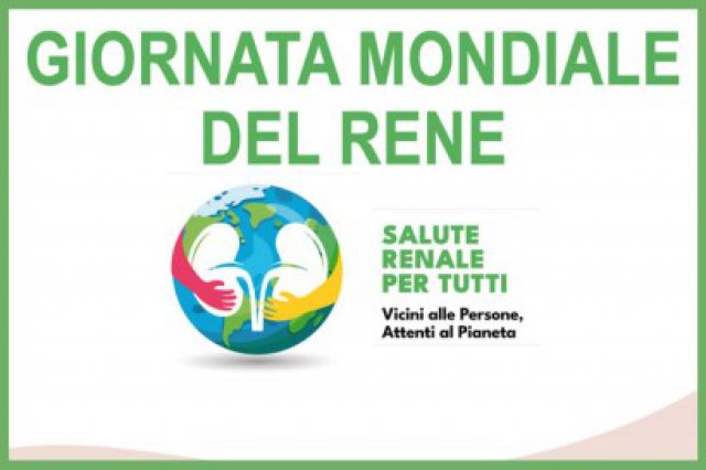 Giornata Mondiale del Rene: perché il controllo del sangue è la tua prima linea di difesa